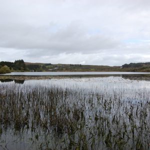 Lough Bofinne