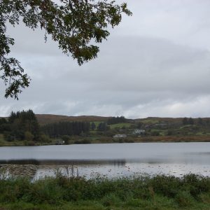 Lough Bofinne