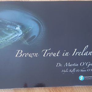 Brown Trout in Ireland