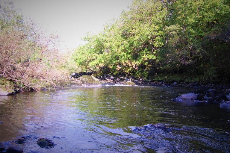 Kerry Blackwater Adult day permit IFI Permit Shop