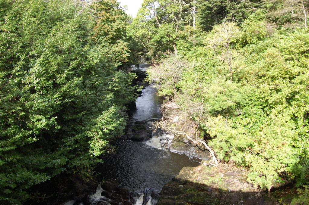 Kerry Blackwater Senior day permit IFI Permit Shop