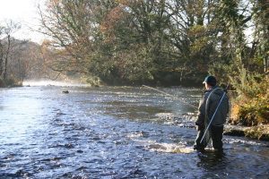 Early morning Fly Fishing on the River Eske.